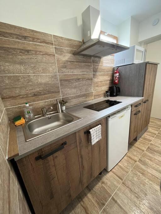 Superbe Appartement A 15 Min De Lyon Saint-Fons 外观 照片